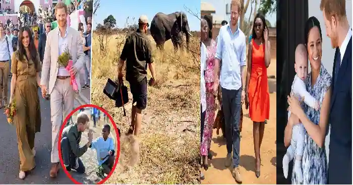 In advance of Meghan Markle's arrival in the UK, Prince Harry makes an unexpected trip to Africa.